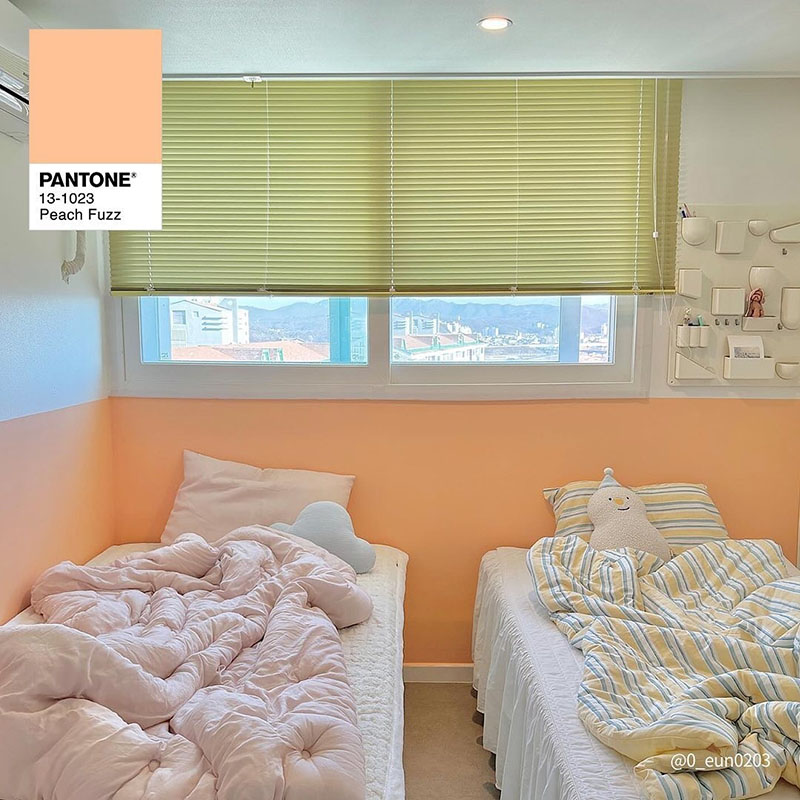 PANTONE 13-1023